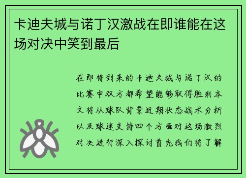卡迪夫城与诺丁汉激战在即谁能在这场对决中笑到最后