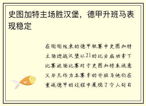 史图加特主场胜汉堡，德甲升班马表现稳定