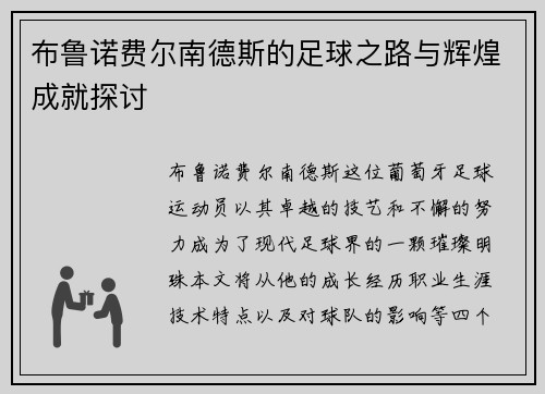布鲁诺费尔南德斯的足球之路与辉煌成就探讨