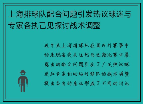 上海排球队配合问题引发热议球迷与专家各执己见探讨战术调整