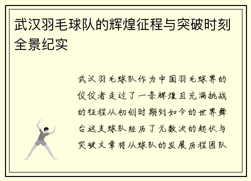 武汉羽毛球队的辉煌征程与突破时刻全景纪实