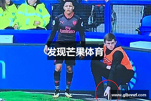 发现芒果体育